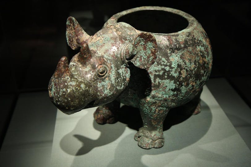 ancient chinese rhino