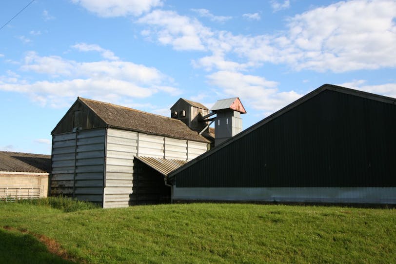 farm