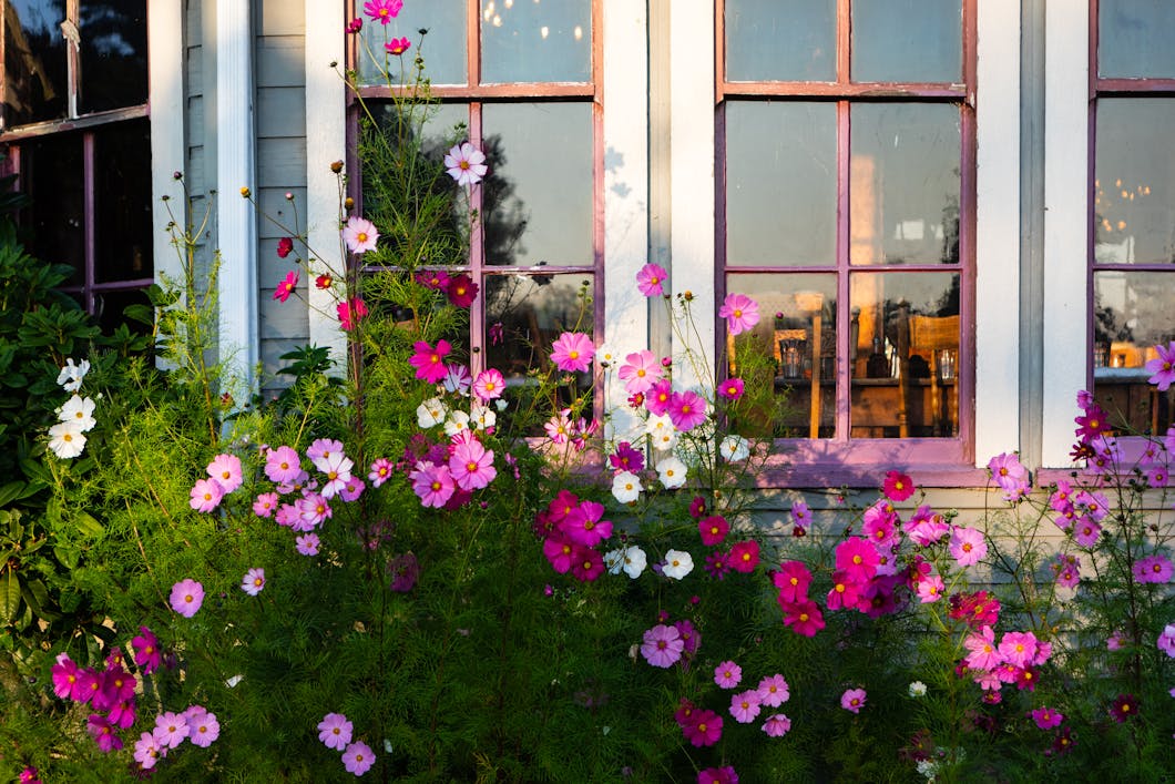 Flowers at the Tokeland Hotel, Tokeland, WA