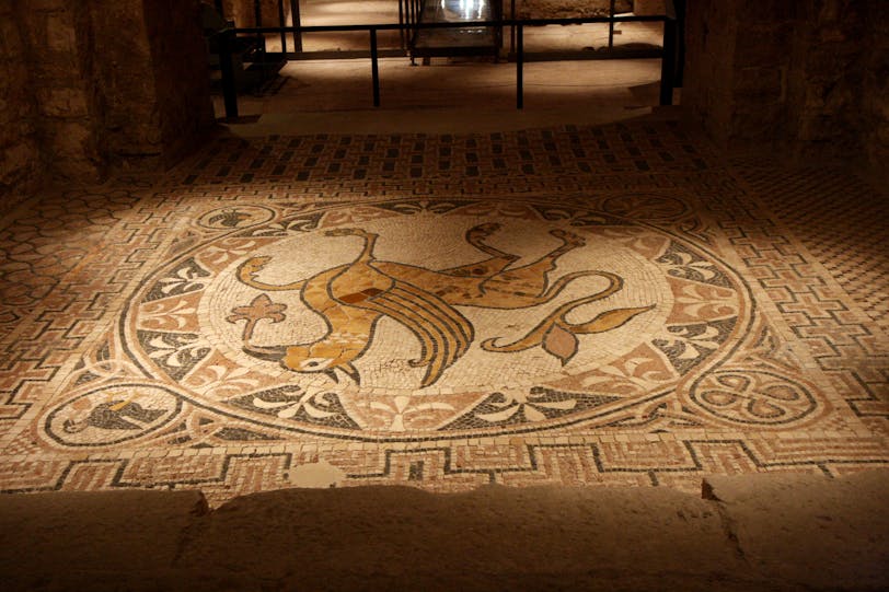Griffin Mosaic, 11C