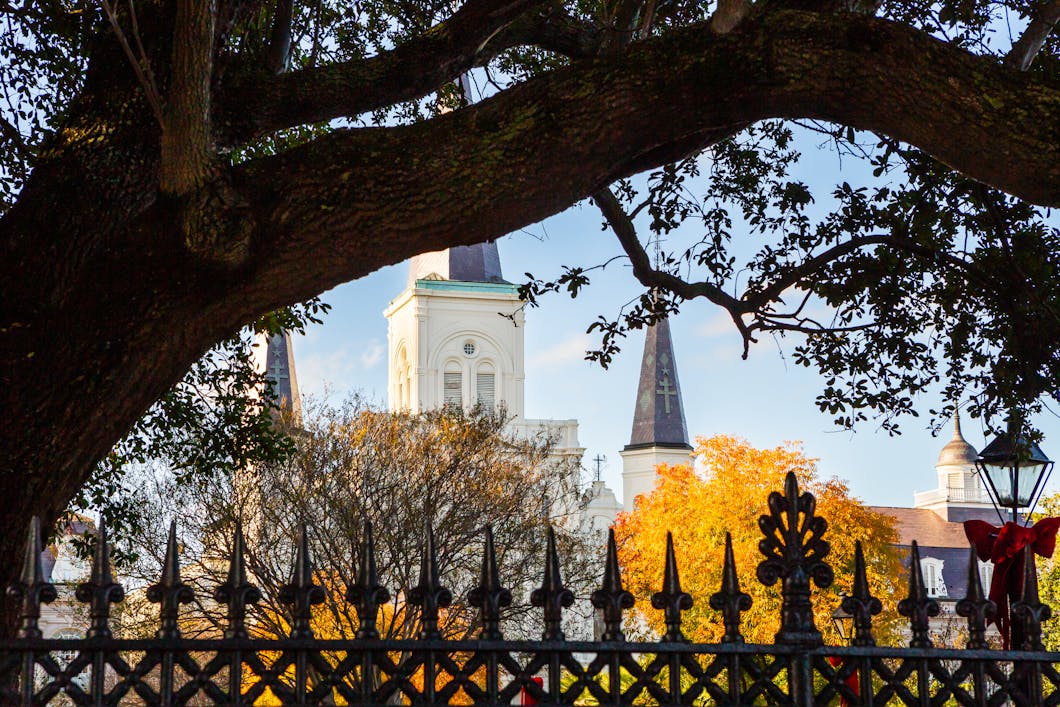 St. Louis Cathedral Towers with Park, New Orleans, Louisiana