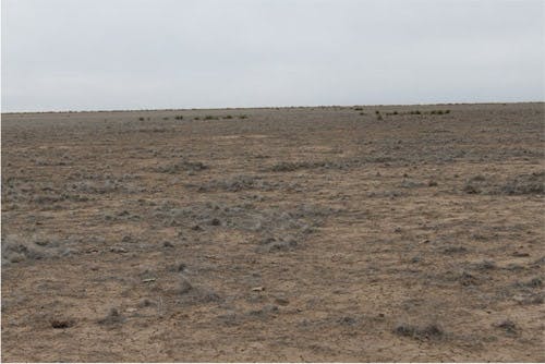 Santa Fe Trail - Cimarron National Grassland Segment 2