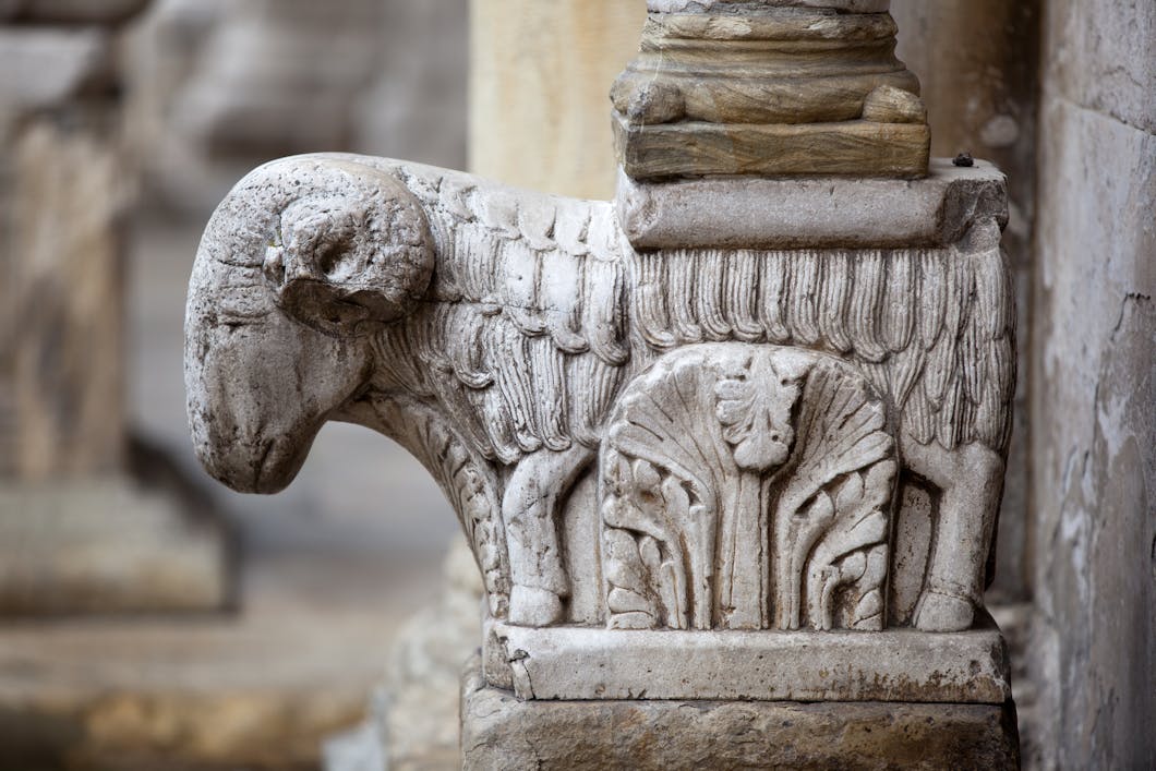 Ram