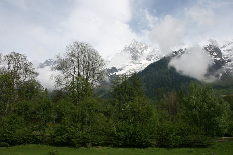 xti_8313