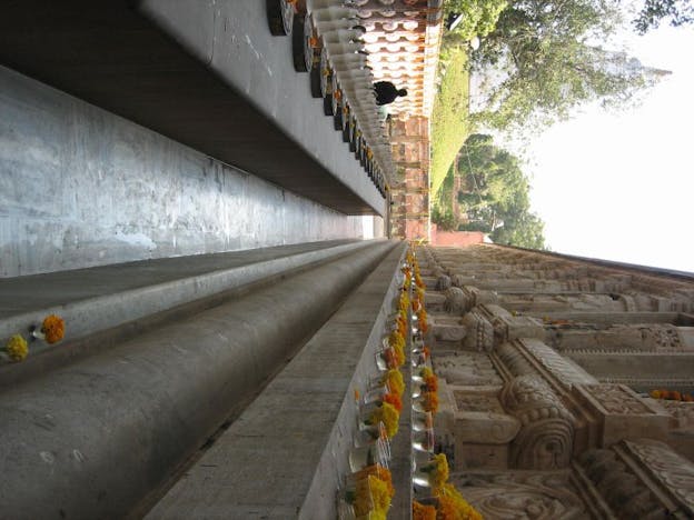 Bodhi Tree, Bodhgaya