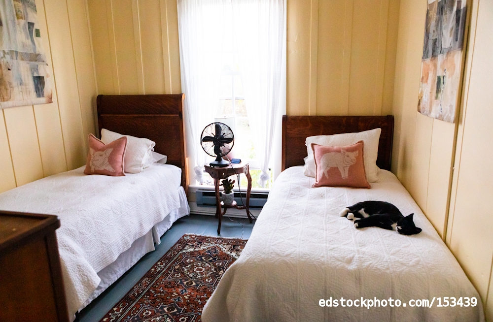 Tokeland Hotel Cat (Tokeland, WA)