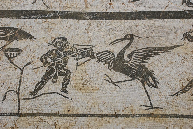 neptune mosaic, italica