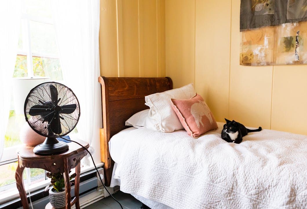 Tokeland Hotel Cat, Tokeland, WA
